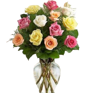 15 multi-colored roses | Flower Delivery Birobidzhan